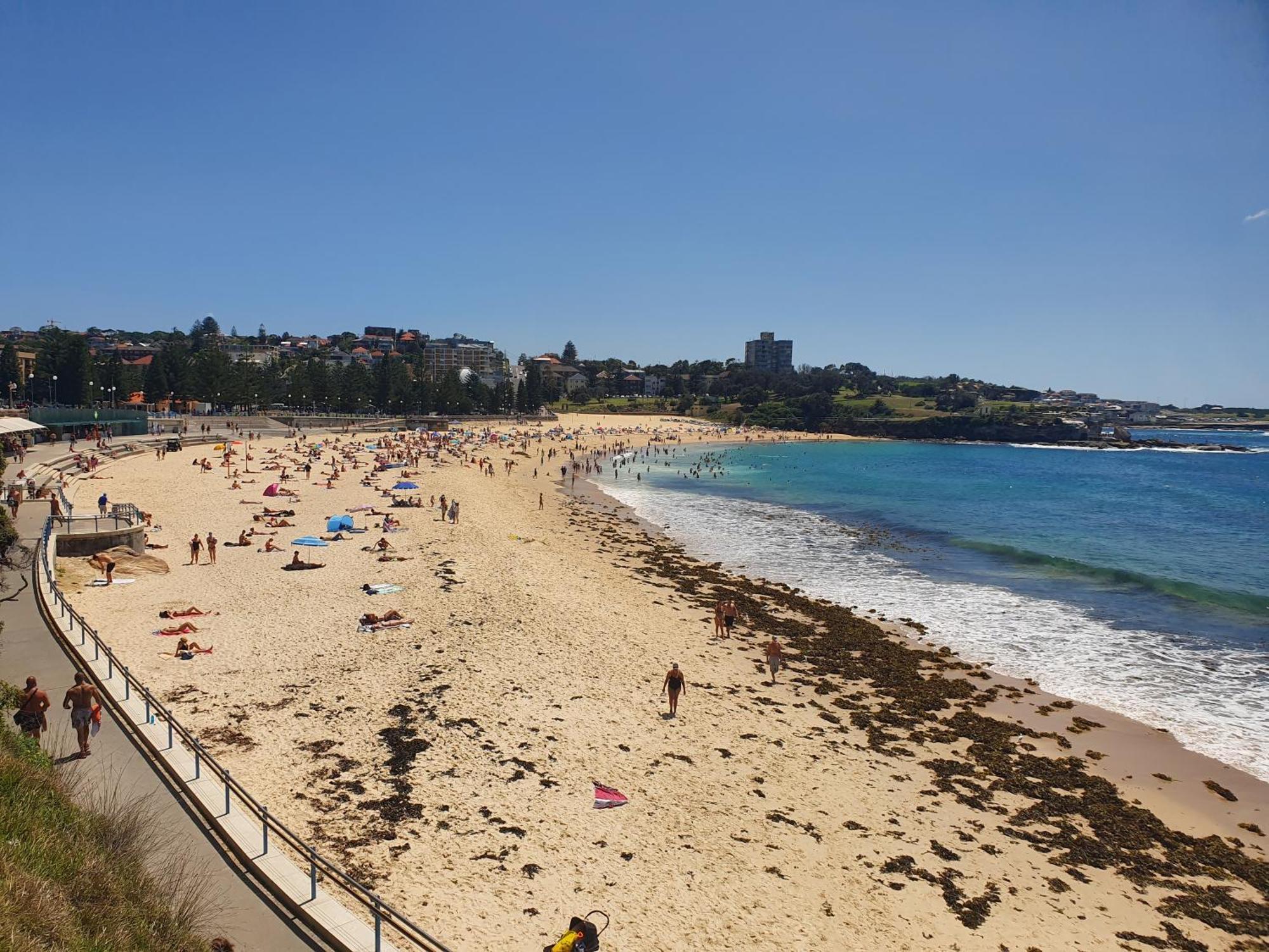 Podbed Coogee Beachside Sydney Ngoại thất bức ảnh